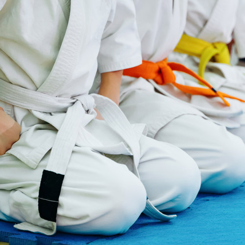 Ensemble scolaire Sainte Macre - activités sportives - judo