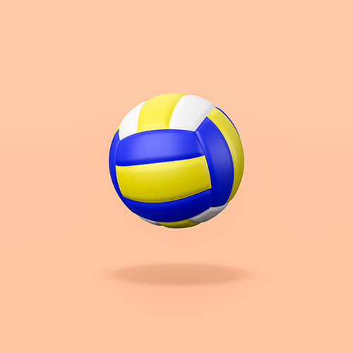 Ensemble scolaire Sainte Macre - activités sportives - volleyball